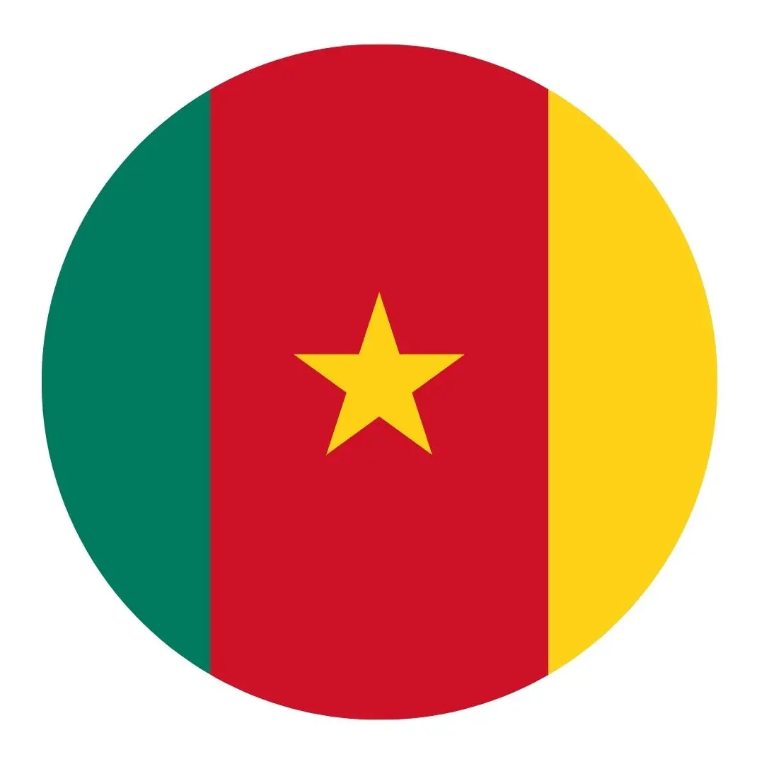 Cameroon Flag